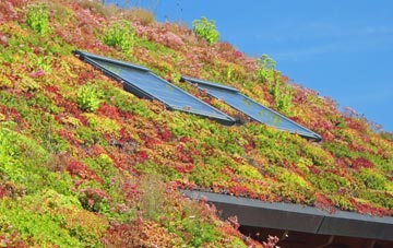 Countersett living roof systems