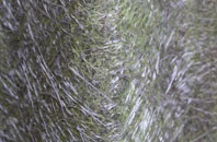 Countersett fibreglass roof work